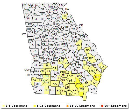 The Georgia range of Taxodium ascendens
